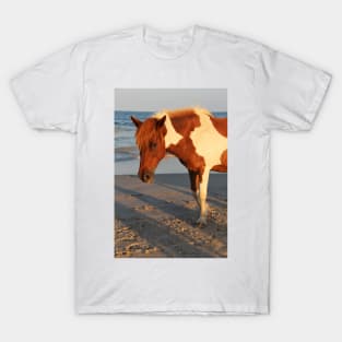 Assateague Beach Ponies - series - 07 T-Shirt